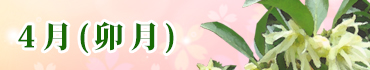 4月